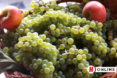 Palicsi Szüreti Napok