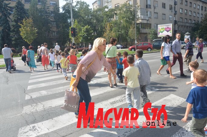 Körülnézek, mielőtt lelépek a járdáról (Dávid Csilla felvétele)