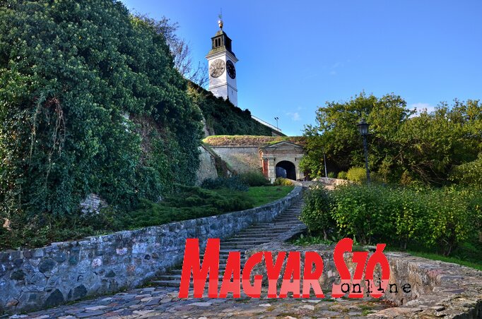 Fotó: Dávid Csilla Fotó: Dávid Csilla