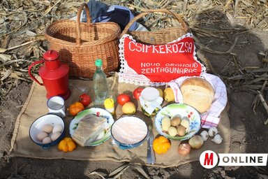 Tartalmas reggeli a kukoricaföldön (Kazinczy Paszterkó Diana felvétele)