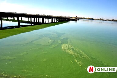 (Fotó: Gergely Árpád)