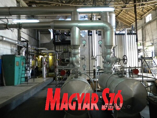 (Fotó: Benedek Miklós)