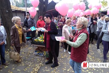 Az akció résztvevői tájékoztató kiadványokat osztogattak (Csincsik Zsolt felvétele)