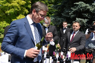 Vučić utolsó kormányfői sajtója államfővé lépése előtt (Ótos András felvétele)