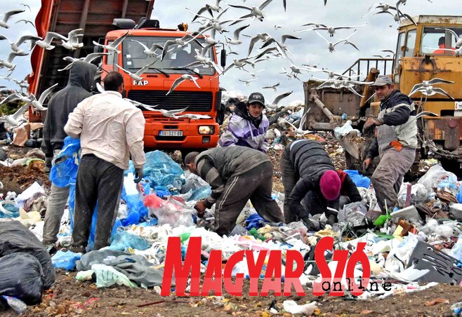 Naponta gyakran száz szállítmány is érkezik a szeméttelepre (Fotó: Gergely Árpád)