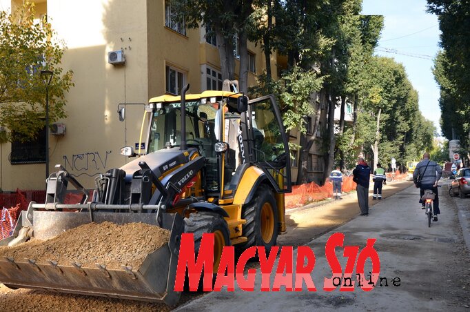 Dávid Csilla felvétele