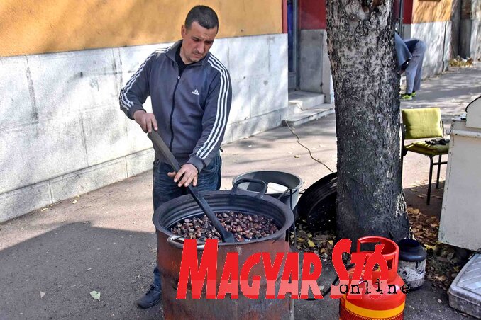 (Fotó: Gergely Árpád)