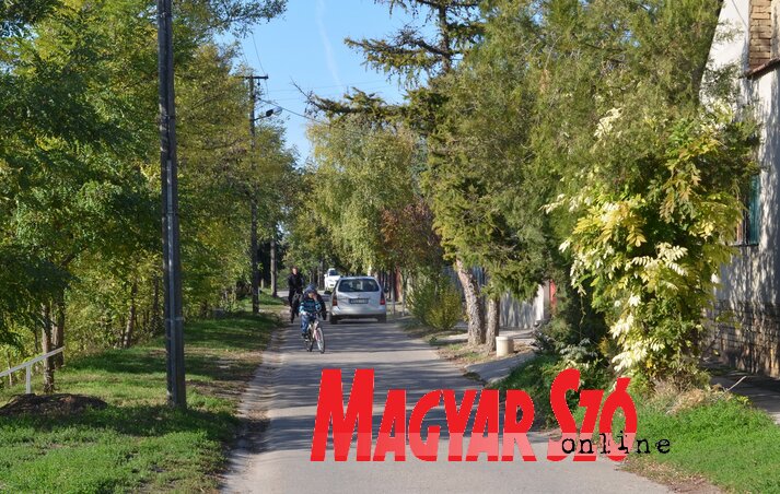 Kishegyesi részlet (Lakatos János felvétele)