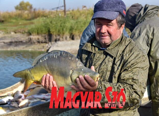 Željko Đanić termelésvezető: a Kapitány-réti hal nem zsíros (Gergely József felvétele)