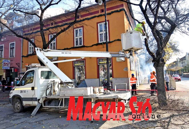 (Fotó: Gergely Árpád)