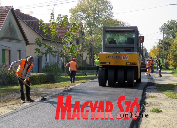 Fotó: Csincsik Zsolt Fotó: Csincsik Zsolt