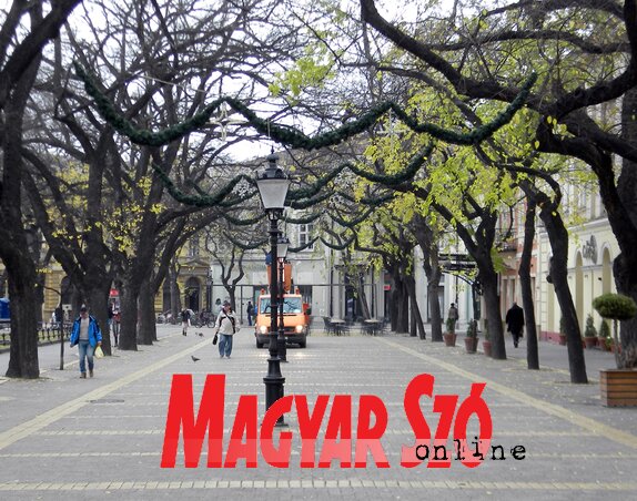 (Fotó: Benedek Miklós)