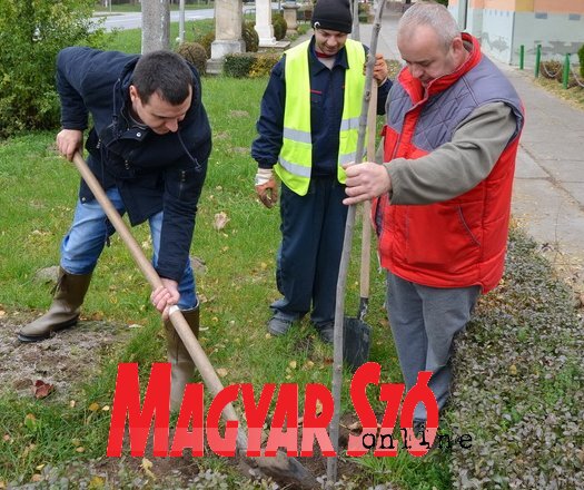 A helyi közösség vezetősége is részt vett a fásítási akcióban (Lakatos János felvétele)