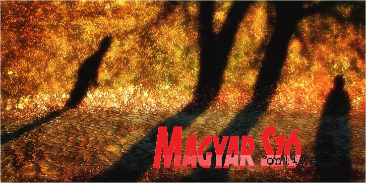 (Fotó: Virág István)