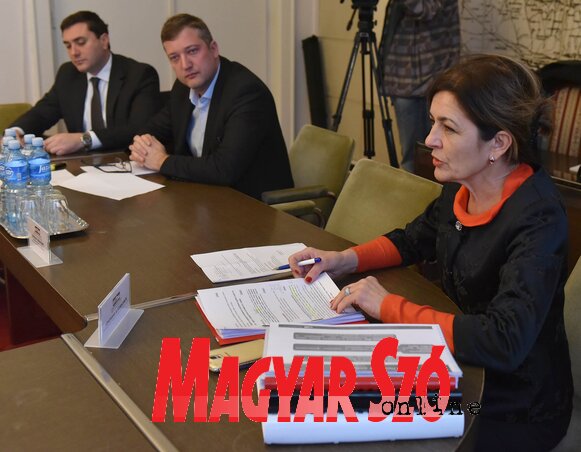 Snežana Blašković ismerteti a számadatokat (Ótos András felvétele)