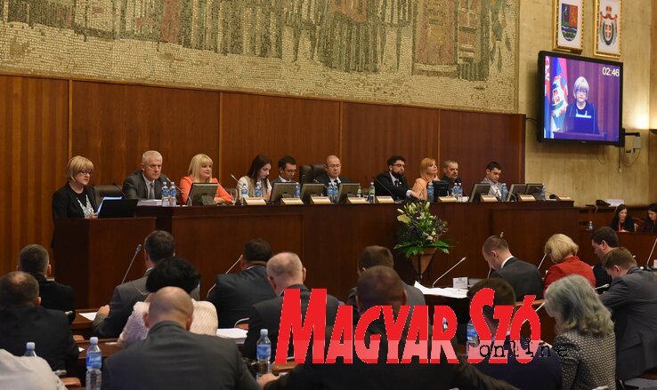 Erdély Lenke szerint a költségvetési jelentés elfogadható, mivel a pénz költésekor szem előtt tartják a kisebbségi jogok érvényesítését (Ótos András felvétele)