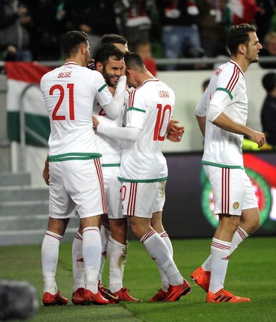 Gólja után csapattársai köszöntötték Nemanja Nikolićot (Fotó: MTI)