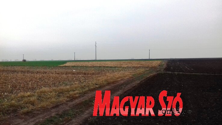 Nagyon nagy szükség van szélfogó sávokra és erdős részekre Topolya község területén