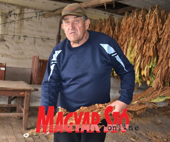 Gregus László: Sok a munka vele, de még mindig megéri (Gergely József felvétele) Gregus László: Sok a munka vele, de még mindig megéri (Gergely József felvétele)