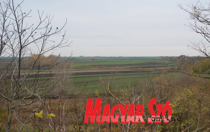 A tél közeledtével az erdősávokból történő falopás a jellemző (Lakatos János felvétele)