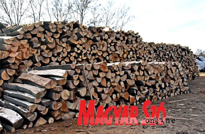 Tüzelő van, vásárló alig akad (Fotó: Gergely Árpád)