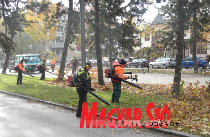 (Fotó: Benedek Miklós)