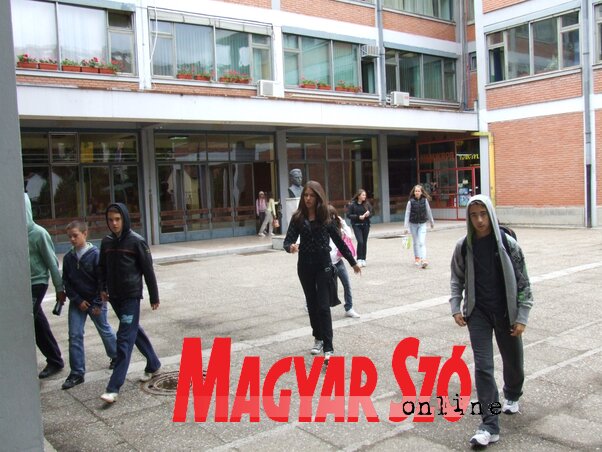 Dávid Csilla illusztrációja