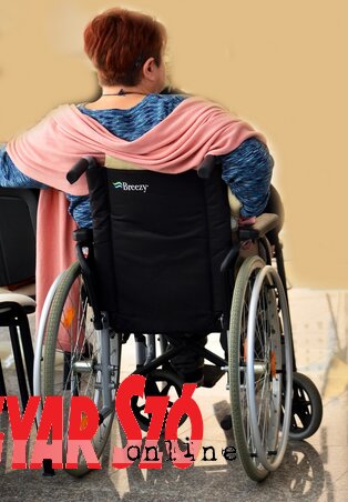 Dávid Csilla illusztrációja