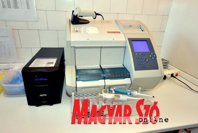 A vizsgálati eredmények 21 nap alatt elkészülnek (Fotó: Gergely Árpád)