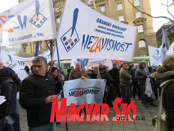 Miklós Hajnalka felvétele Miklós Hajnalka felvétele