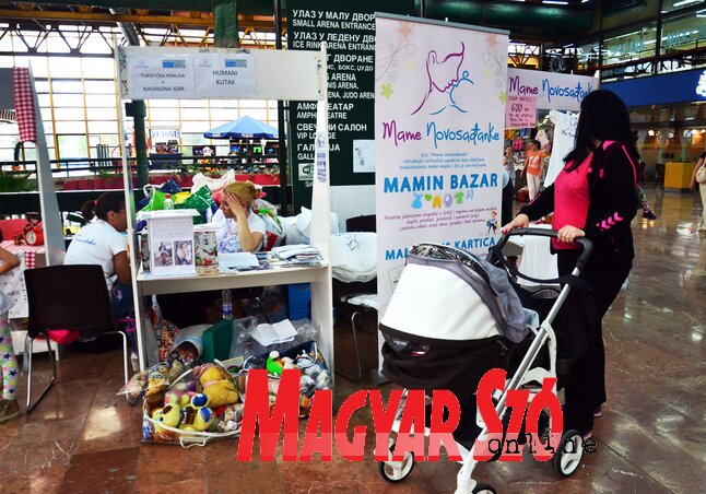 Fotó: Dávid Csilla