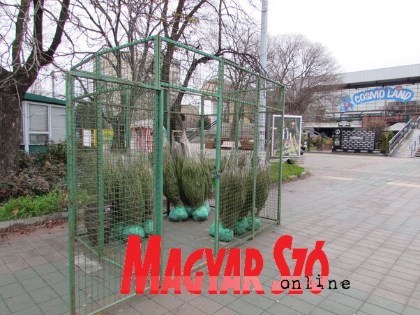 Fotó: Fehér Ildikó