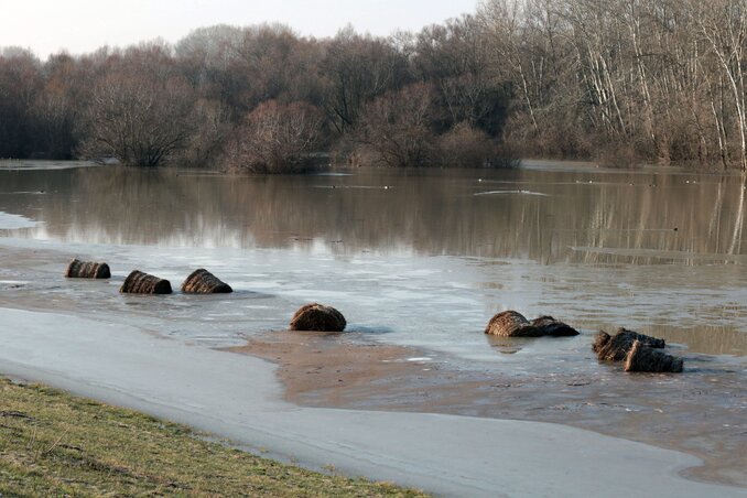 Az áradó Tisza vizében úszó körbálák a Tiszaburához tartozó Pusztataskony határában  (Fotó: MTI)