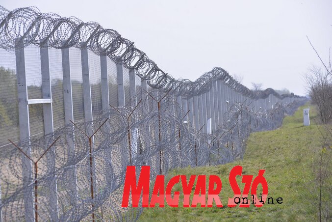 A pengés drót mögött kerítés épül a Kelebia és Ásotthalom között húzódó határszakaszon (Molnár Edvárd felvétele)