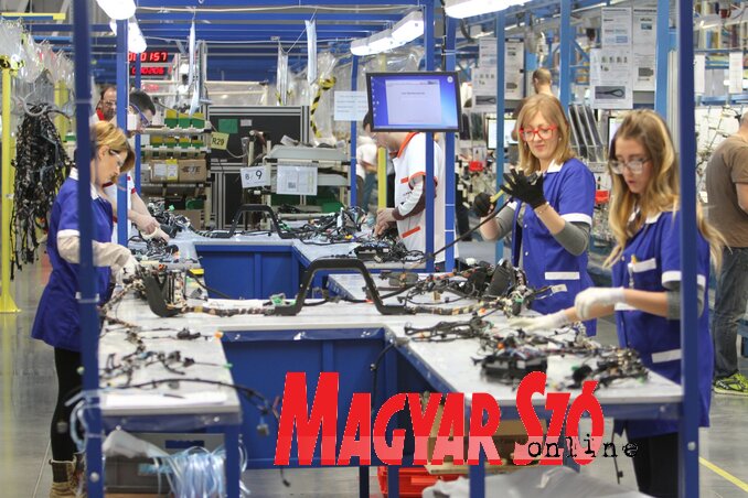 Az elmúlt időszakban történt befektetéseknek köszönhetően több mint 6000 újvidéki talált munkát (Ótos András felvétele)