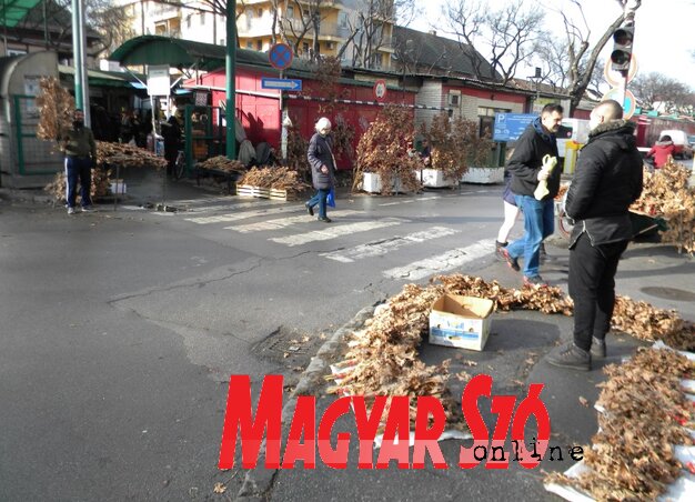 (Fotó: Benedek Miklós)