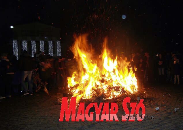 Égnek a tölgyfaágak (Fotó: Patyi Szilárd)