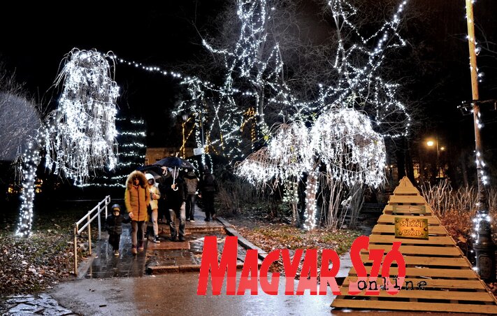 Fotó: Dávid Csilla