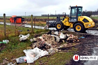 A tetemek elszállítását a köztisztasági közvállalat végzi (Fotó: Gergely Árpád)