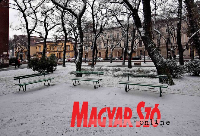 (Fotó: Gergely Árpád)