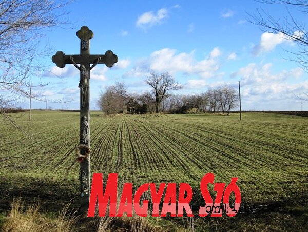 A romos tanya egykori bejárata előtt még áll a feszület a topolyai határban (Tóth Péter felvétele) A romos tanya egykori bejárata előtt még áll a feszület a topolyai határban (Tóth Péter felvétele)