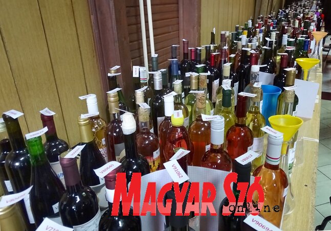 Csaknem hétszázféle bor várja szombaton a kóstolókat (Góbor Béla felvétele)