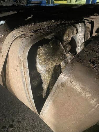 Fotó: koszovói rendőrség Fotó: koszovói rendőrség