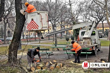 (Fotó: Gergely Árpád)