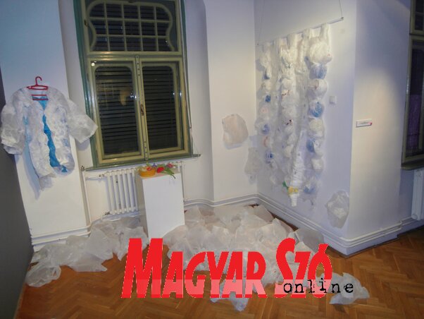 Marija Sibinović Létrehozni valamit című alkotása (Fotó: Patyi Szilárd) Marija Sibinović Létrehozni valamit című alkotása (Fotó: Patyi Szilárd)