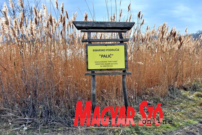 A Palics természeti park II. mederszakasza védett terület és horgászterület (Fotó: Gergely Árpád) A Palics természeti park II. mederszakasza védett terület és horgászterület (Fotó: Gergely Árpád)