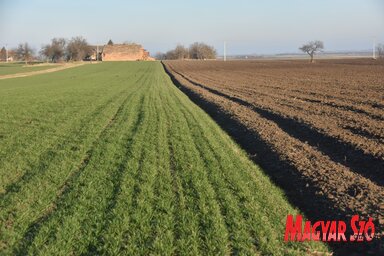Szükség van a helyzet rendszeres elemzésére, tudományos kutatások elvégzésére, s ezeknek köszönhetően bizonyos megelőzési és kárelhárítási lépések megtételére, Fotó: Gergely Árpád