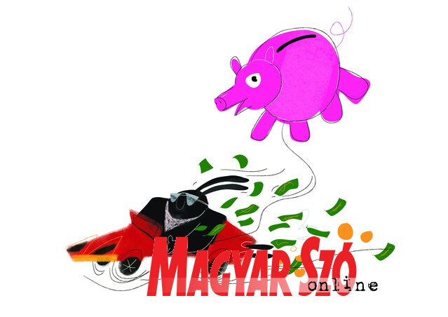 (Bicskei Anikó) (Bicskei Anikó)