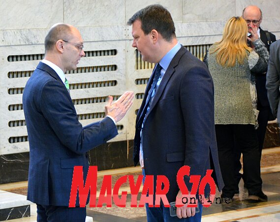 Dávid Csilla felvétele