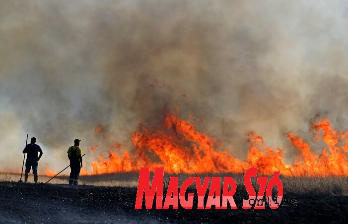 Napokig égett a puszta, amit a szajáni önkéntes tűzoltók is oltottak (Fotó: Gergely József)
